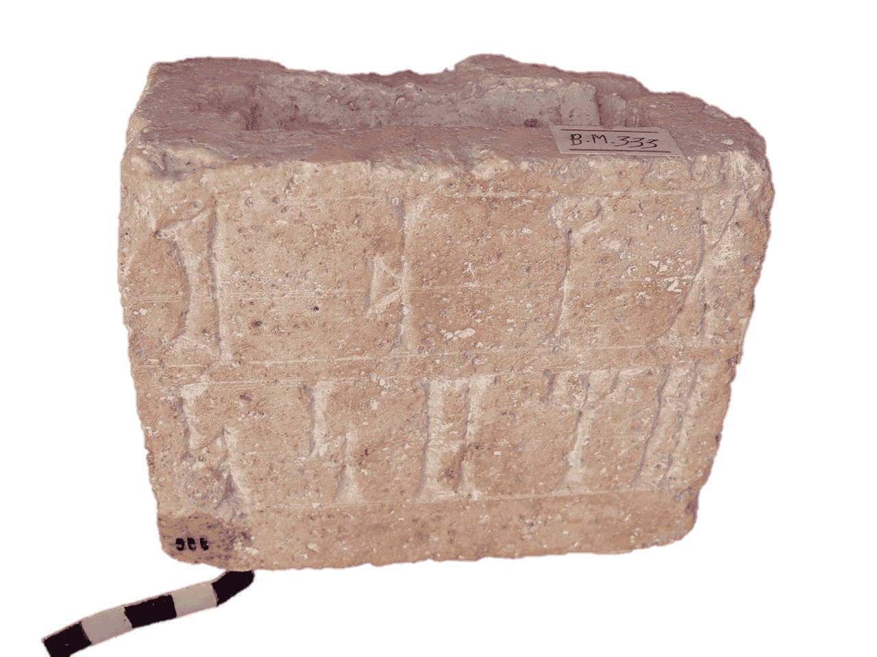 م.ب 333